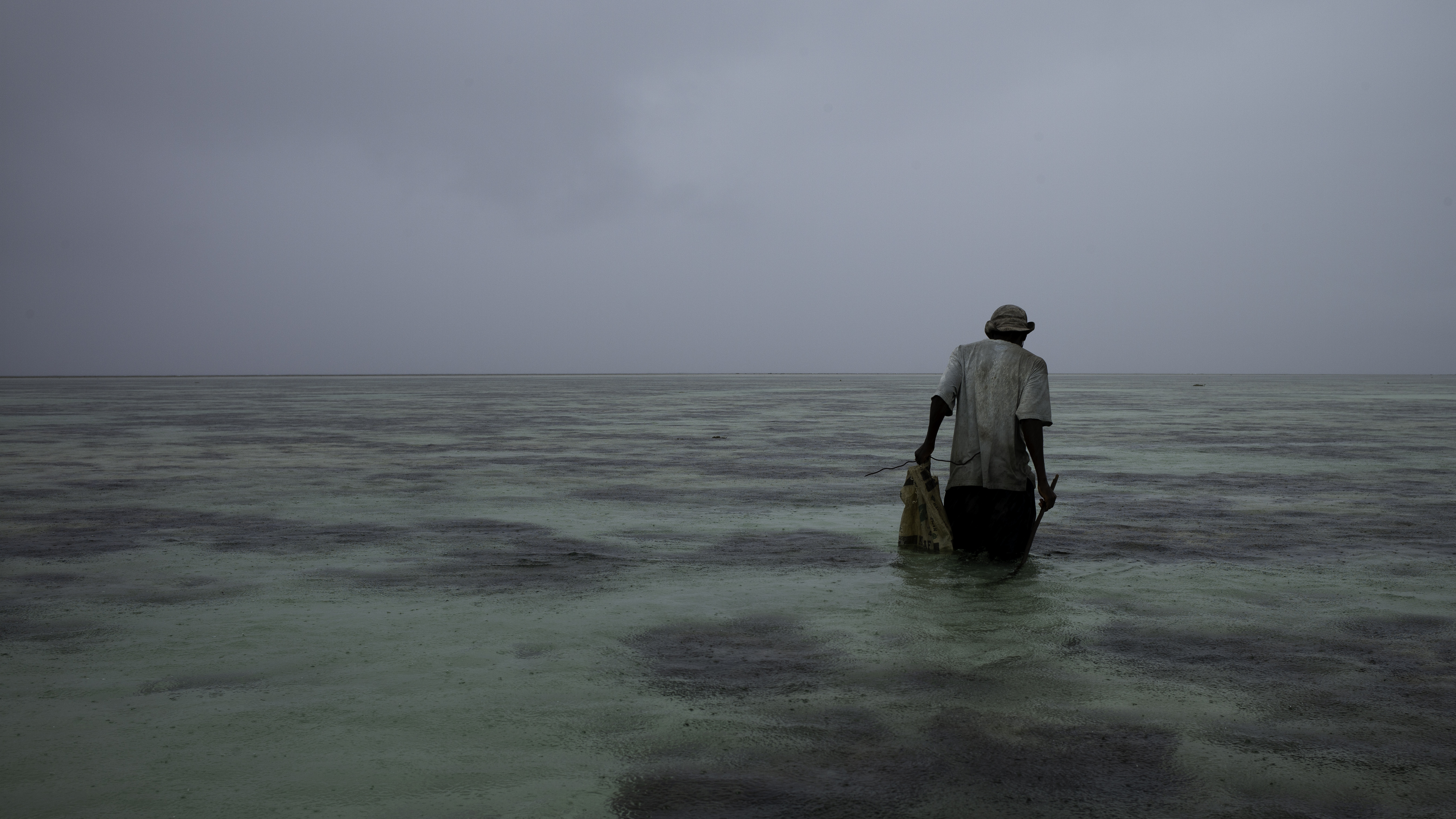 This Must Be the Place